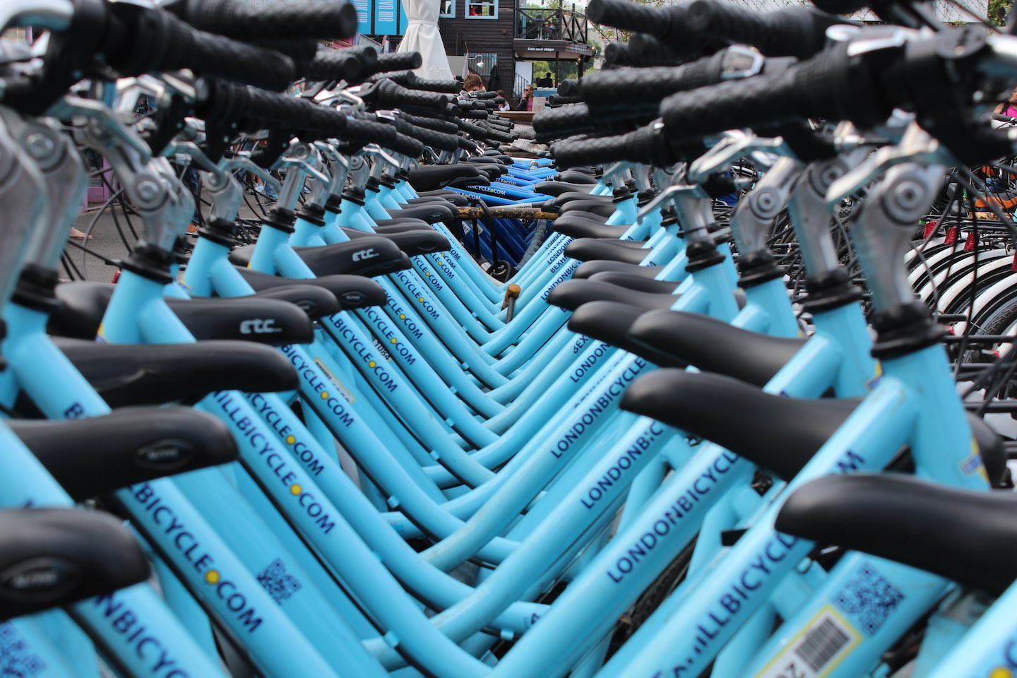 blue bikes lined up