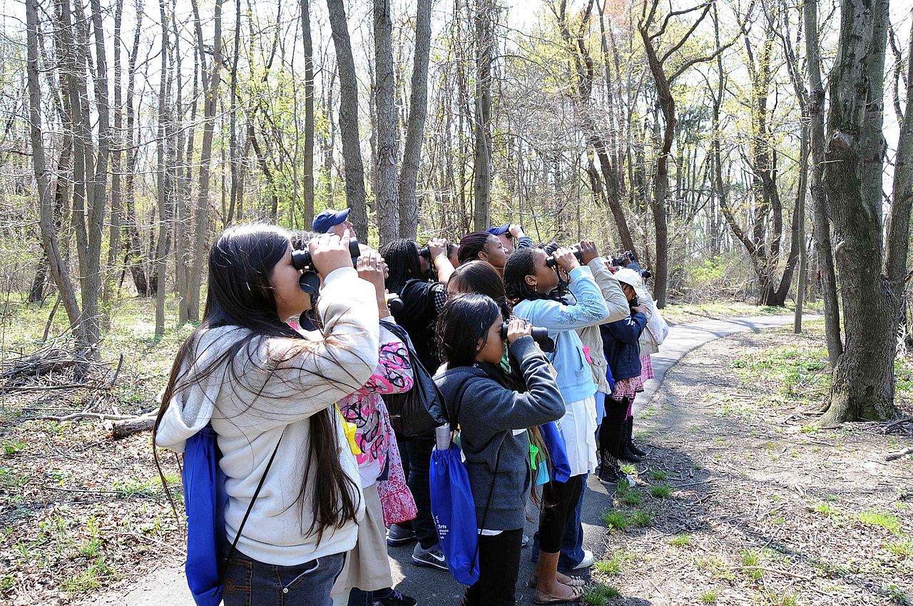 Children watch with binoculars, birdwatching