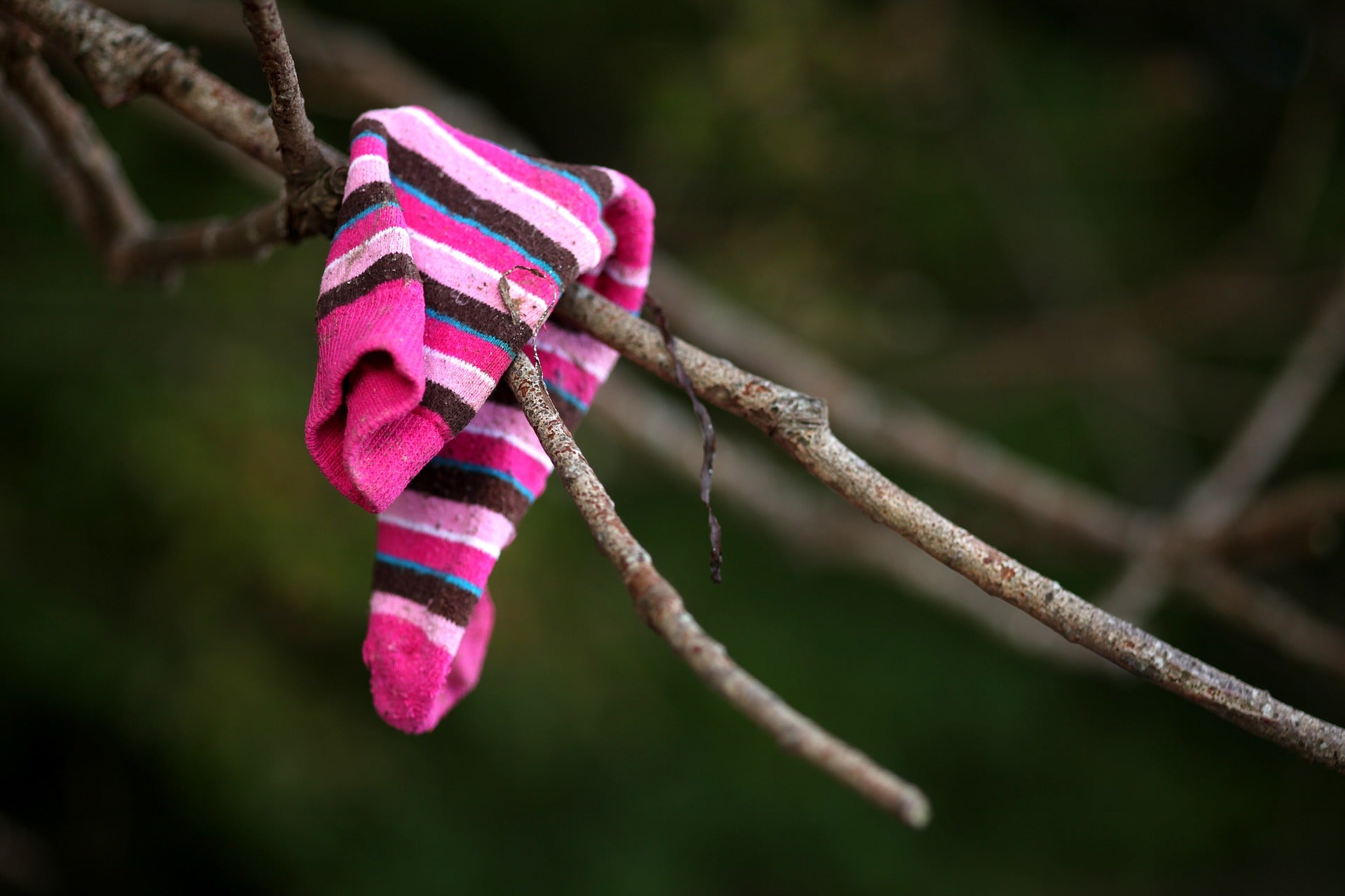 striped colorful socks hanging on a tree branch