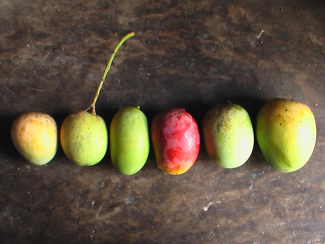 different colors of mangos lined up