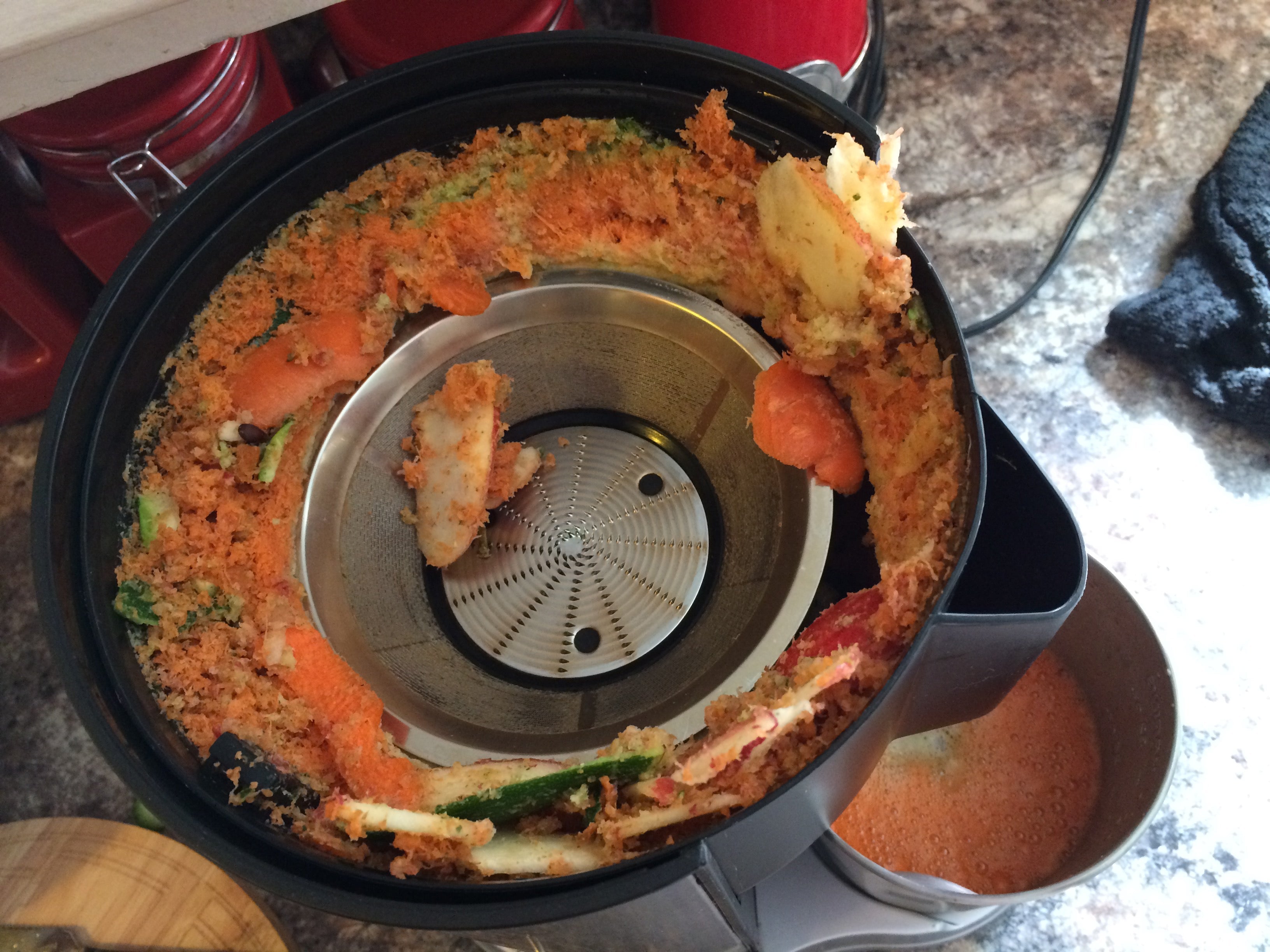 vegetables in a food processor