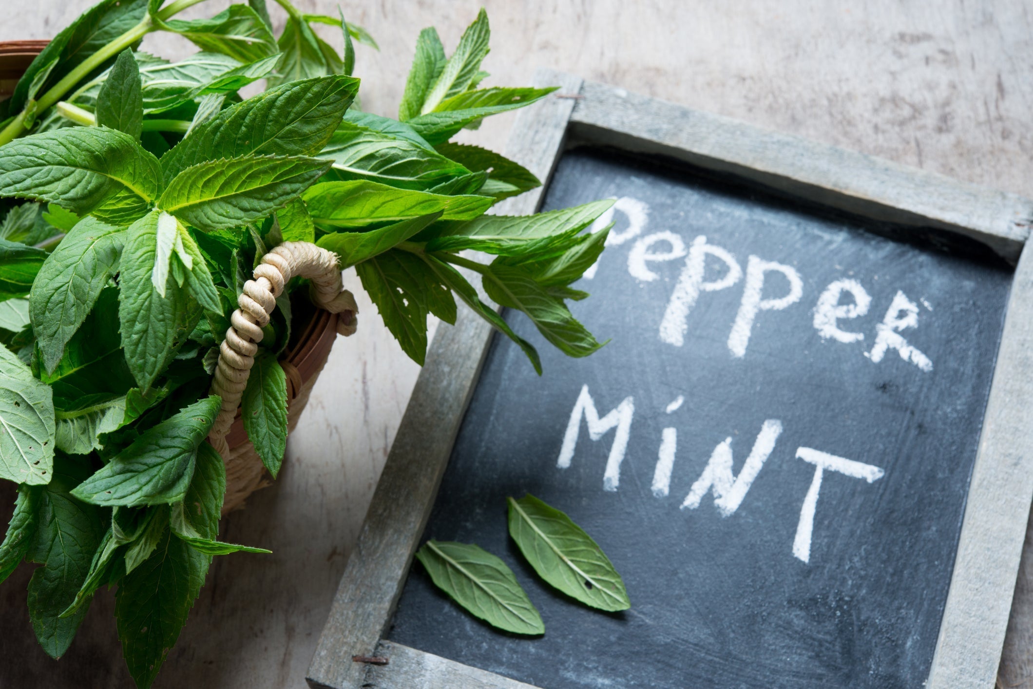 How does mint deliver the cool, fresh breath we all love?