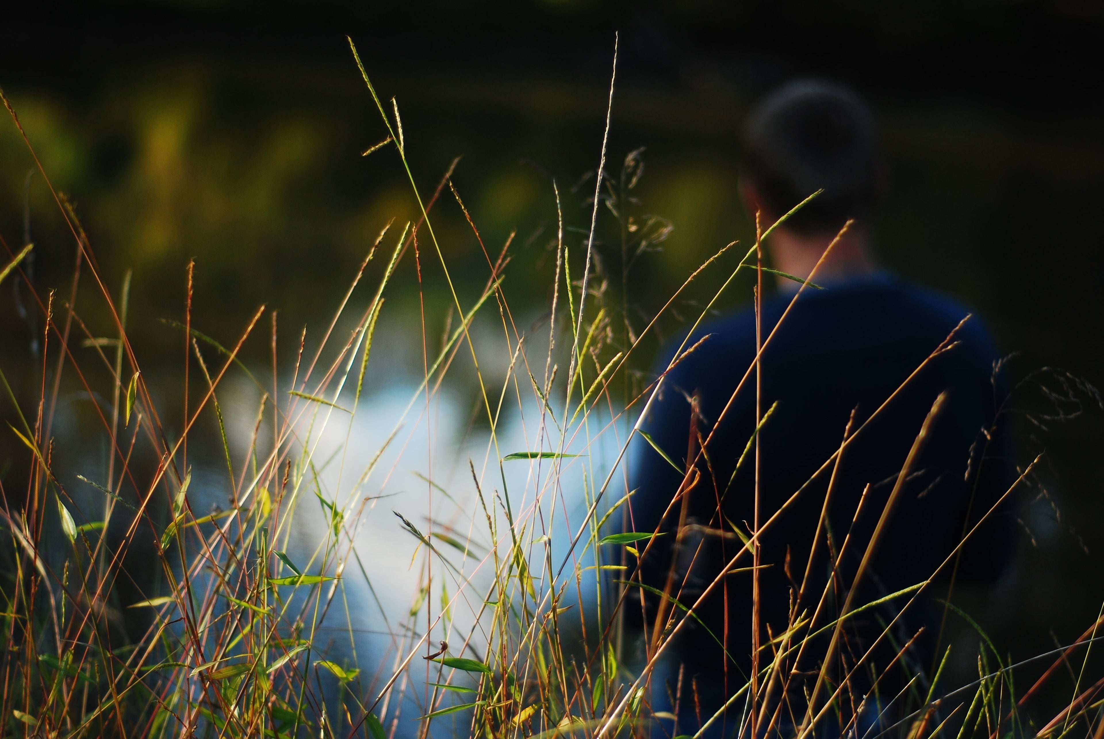 a man in a field of brush
