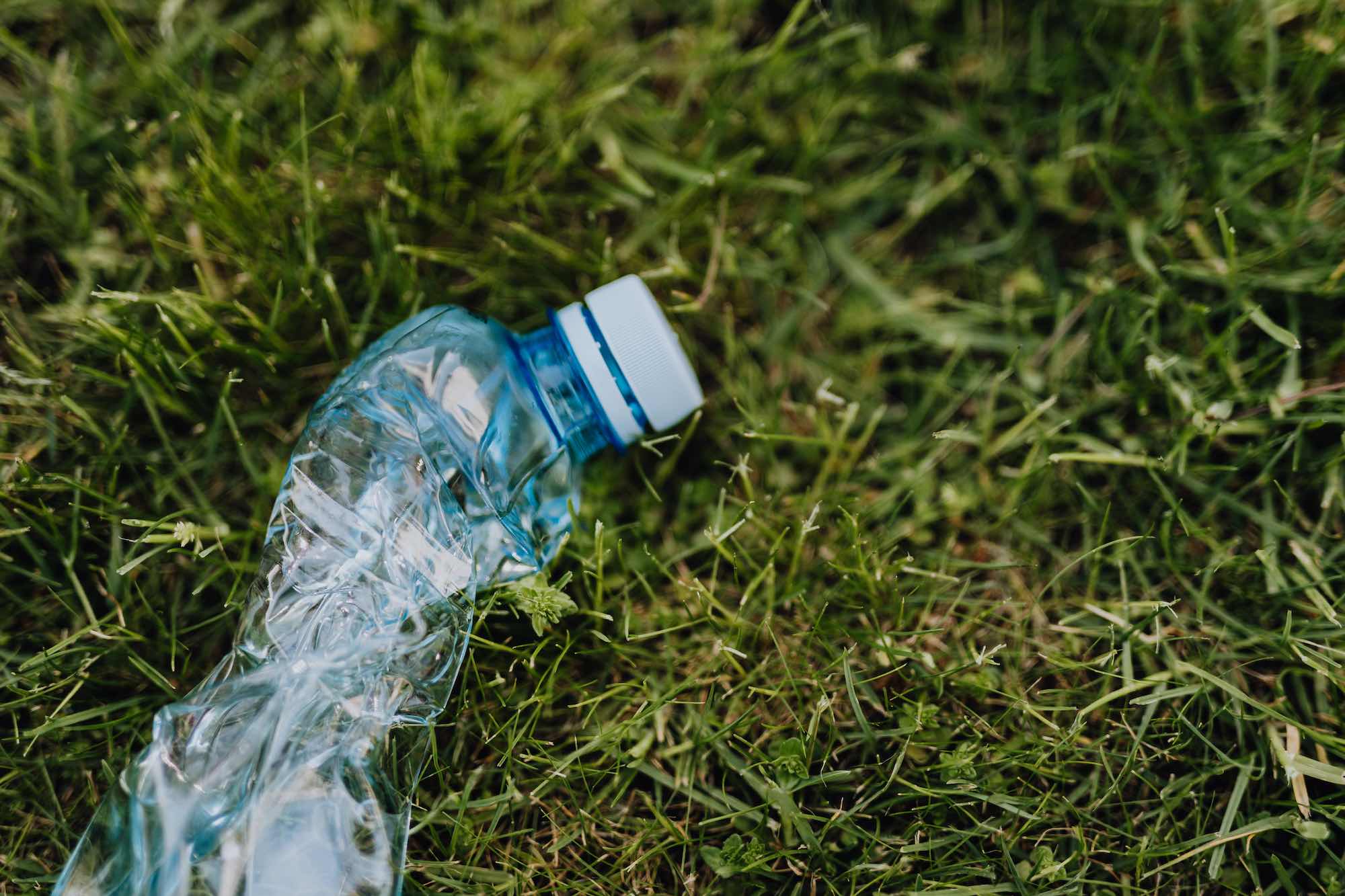 rushed plastic bottle on green park grass