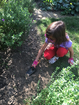 How Plants for Kids Teach Them about the Environment