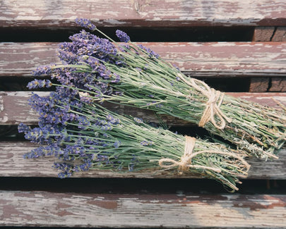 2 small bouquets of lavender
