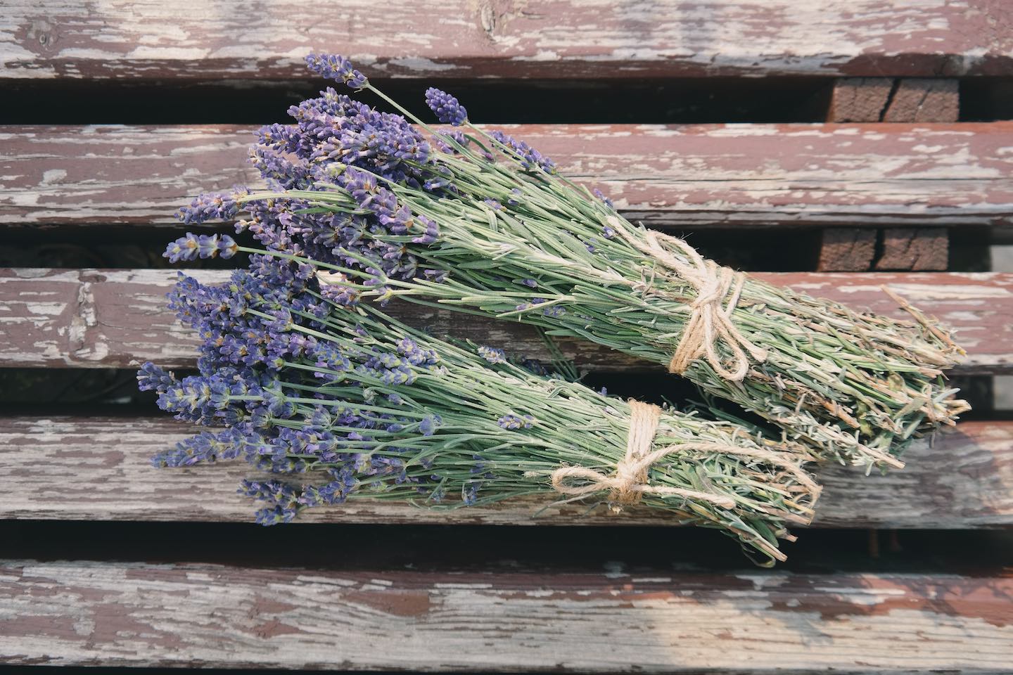 2 small bouquets of lavender