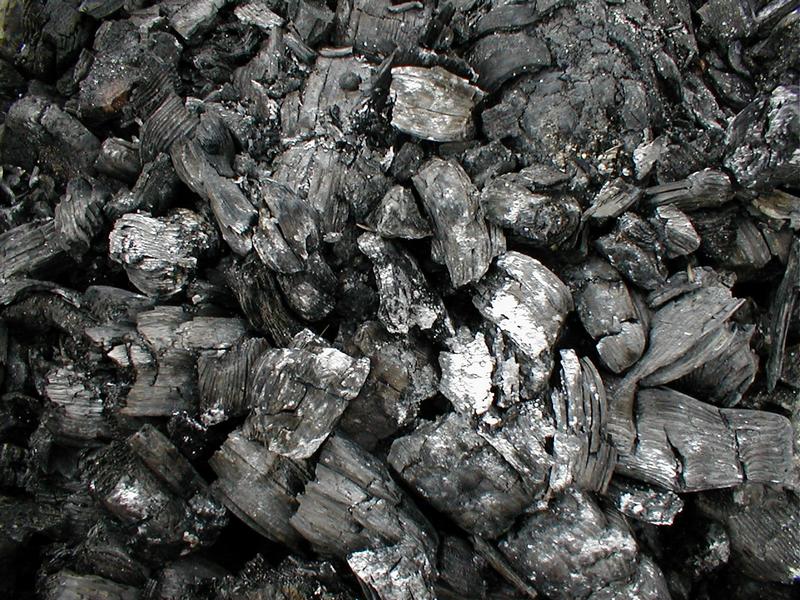 pieces of charcoal