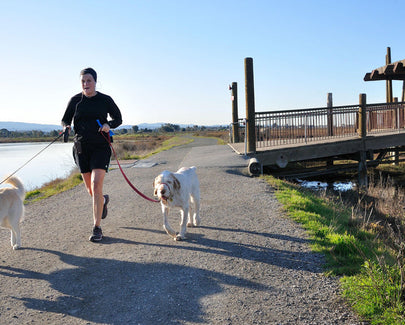 Jogger and his two dogs at the Palo Alto Baylands