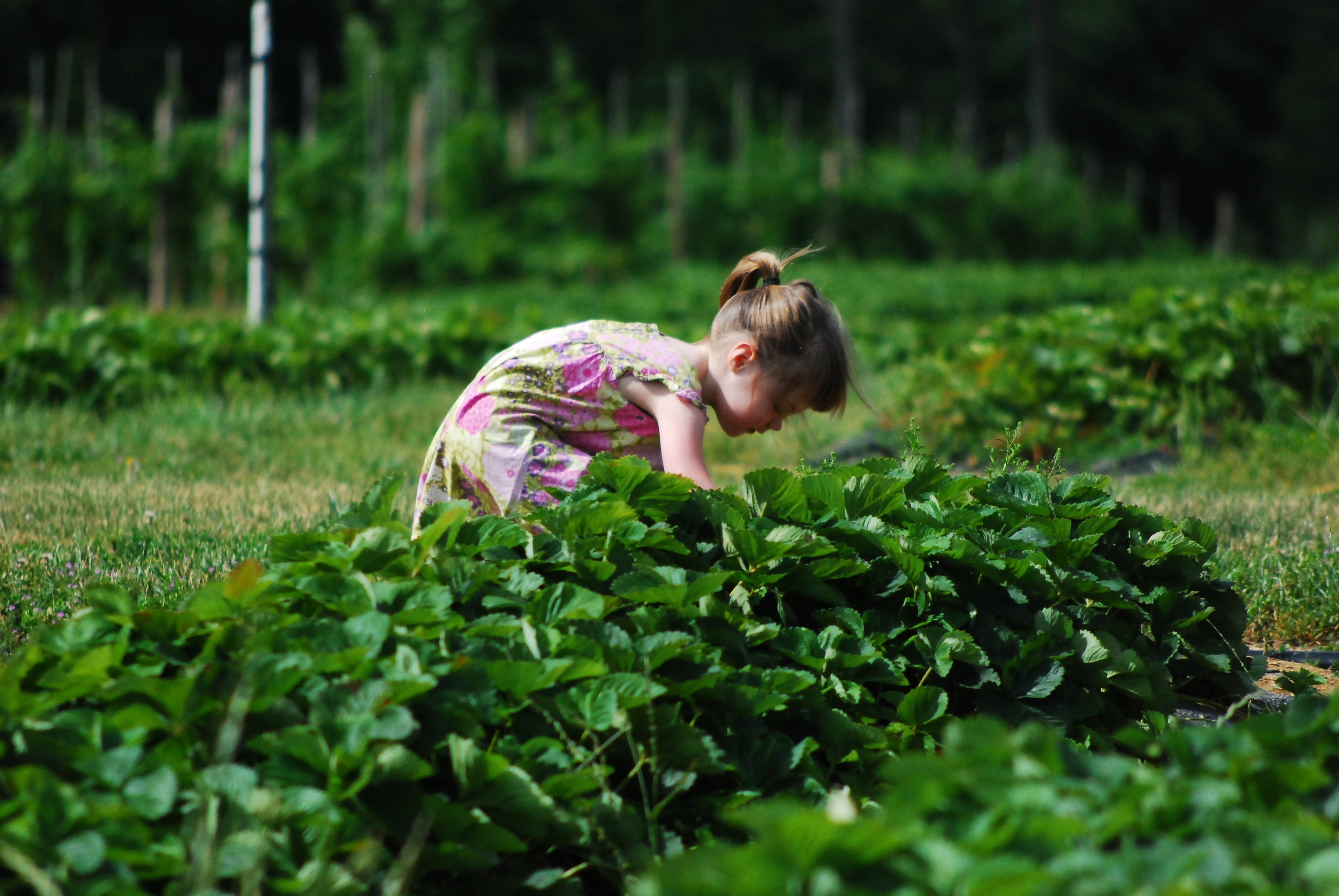 4 Inspiring Neighbor Stories and How to Help the Same Way – Tom's of Maine