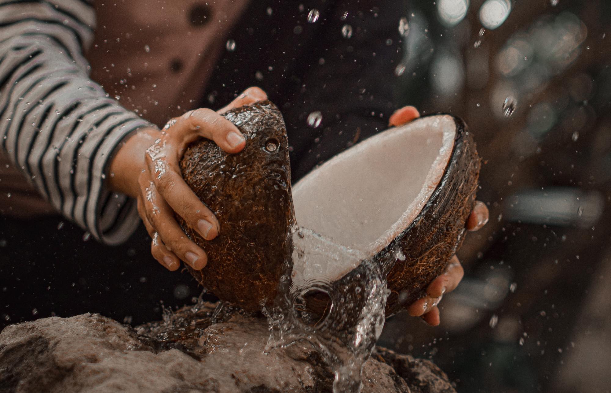 Person breaking open coconut water