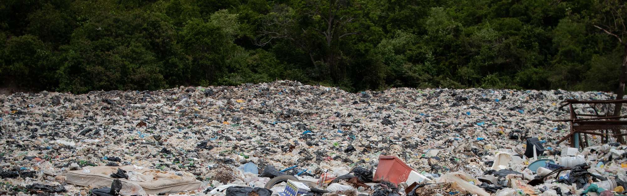 landfill near trees