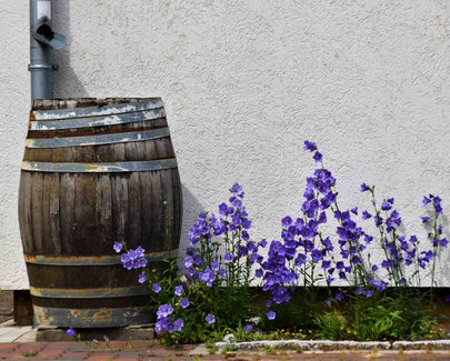 purple flowers on brown wooden barrel
