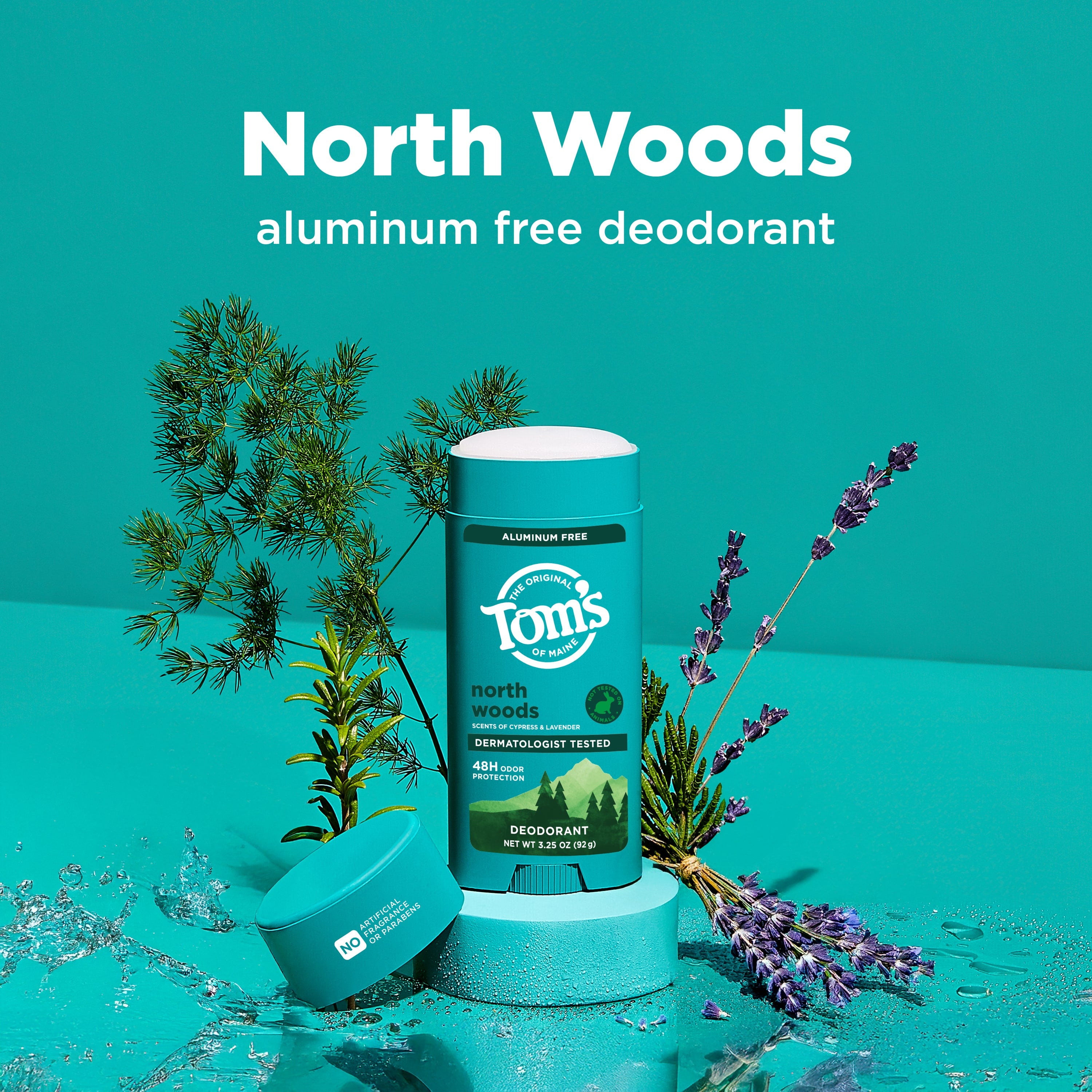 North Woods Deodorant - Tom's of Maine