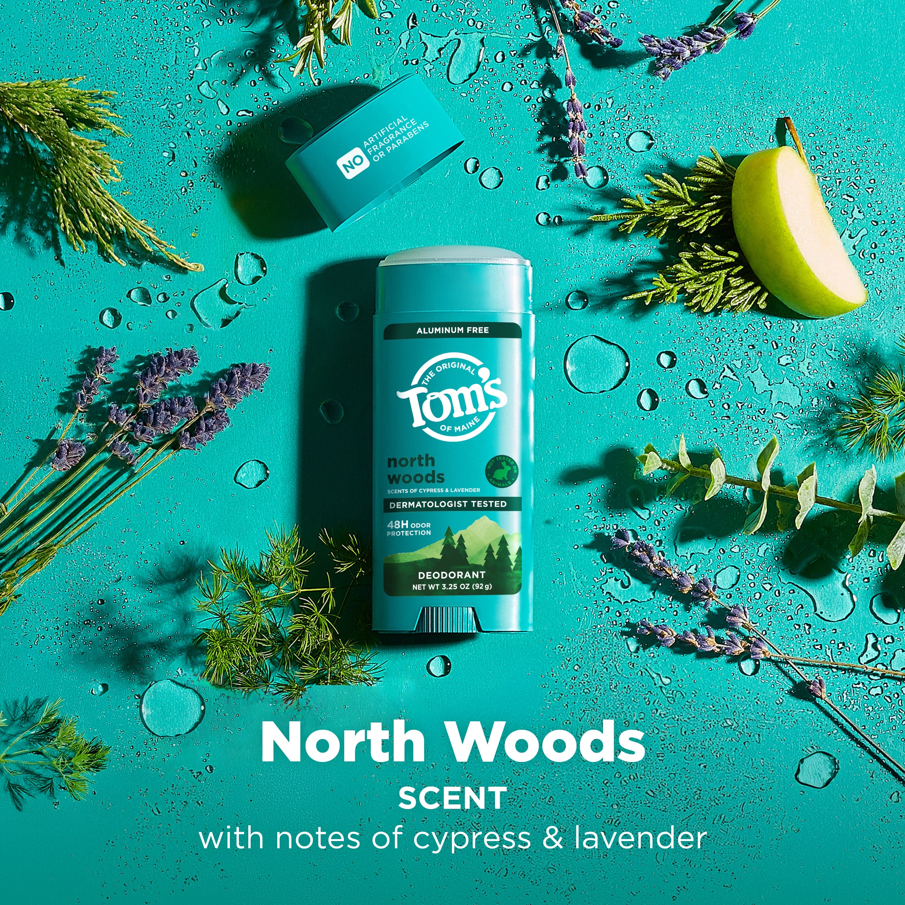 North Woods Deodorant - Tom's of Maine