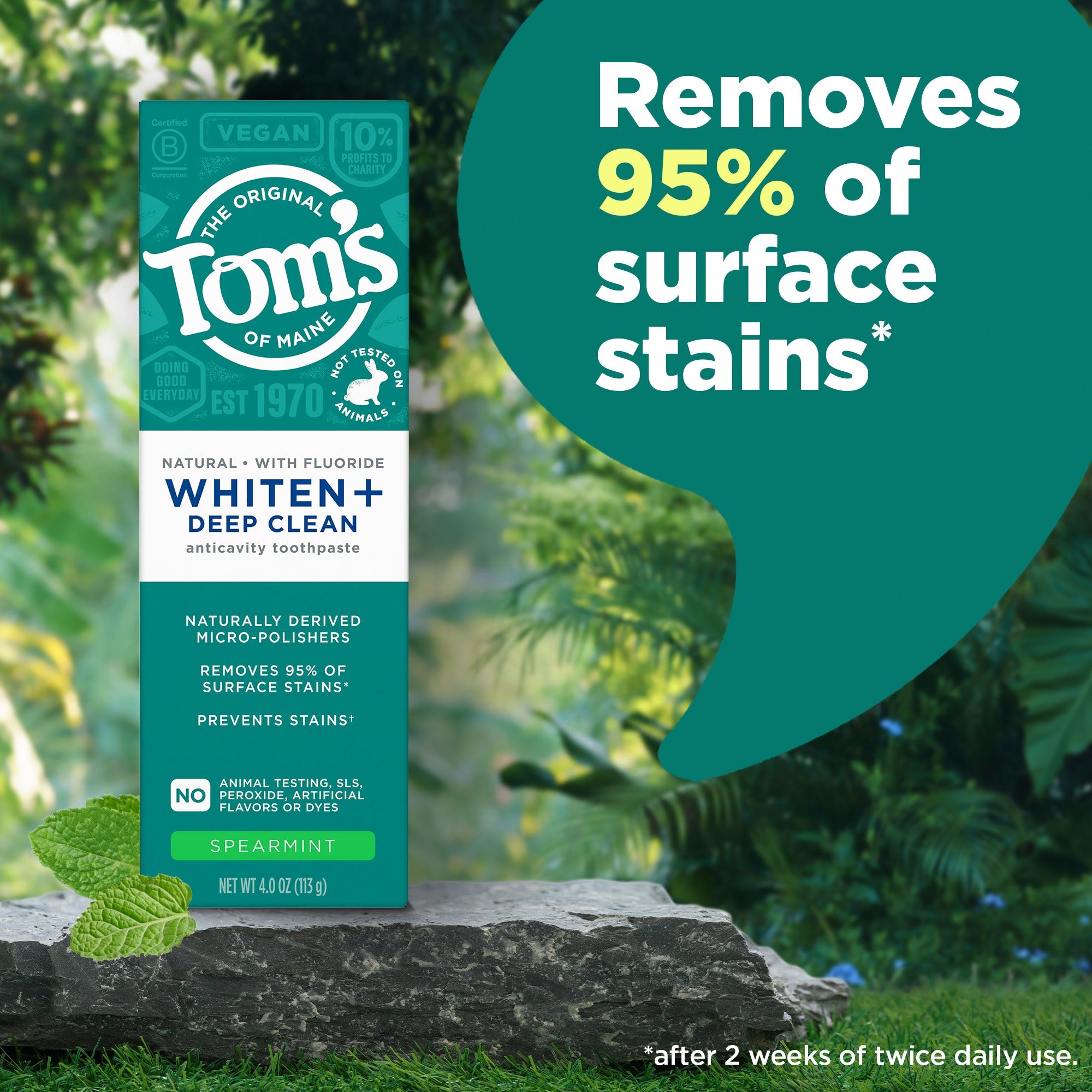 Whiten Plus Deep Clean Whitening Toothpaste, Spearmint - Tom's of