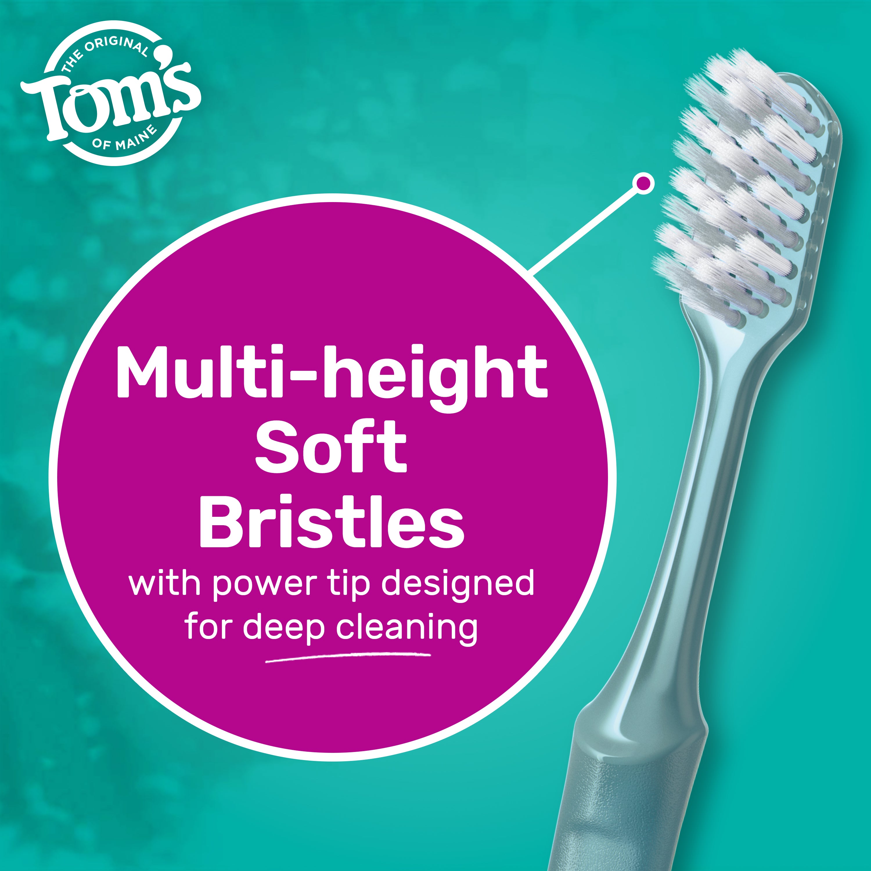 Brosse Douce Reinsman Soft Grip – Étrille Cheval, Manche Confort