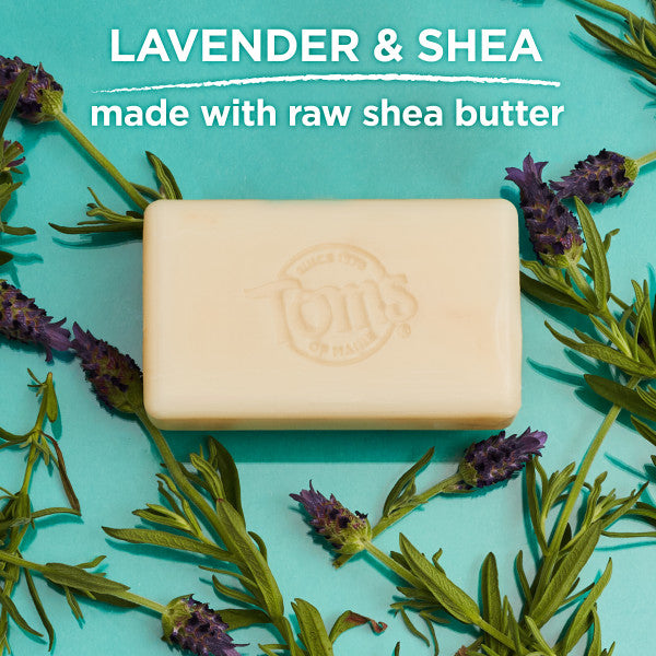 toms lavender tea tree Tom's Of Maine Natural Beauty Bar Soap Lavender & Shea -- 5 oz
