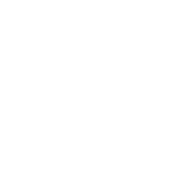 Not tested on animales